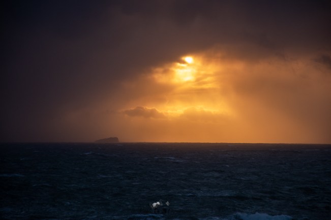 068EC0F3-8C10-4D29-ACAF-F497C2AFE679_1_105_c